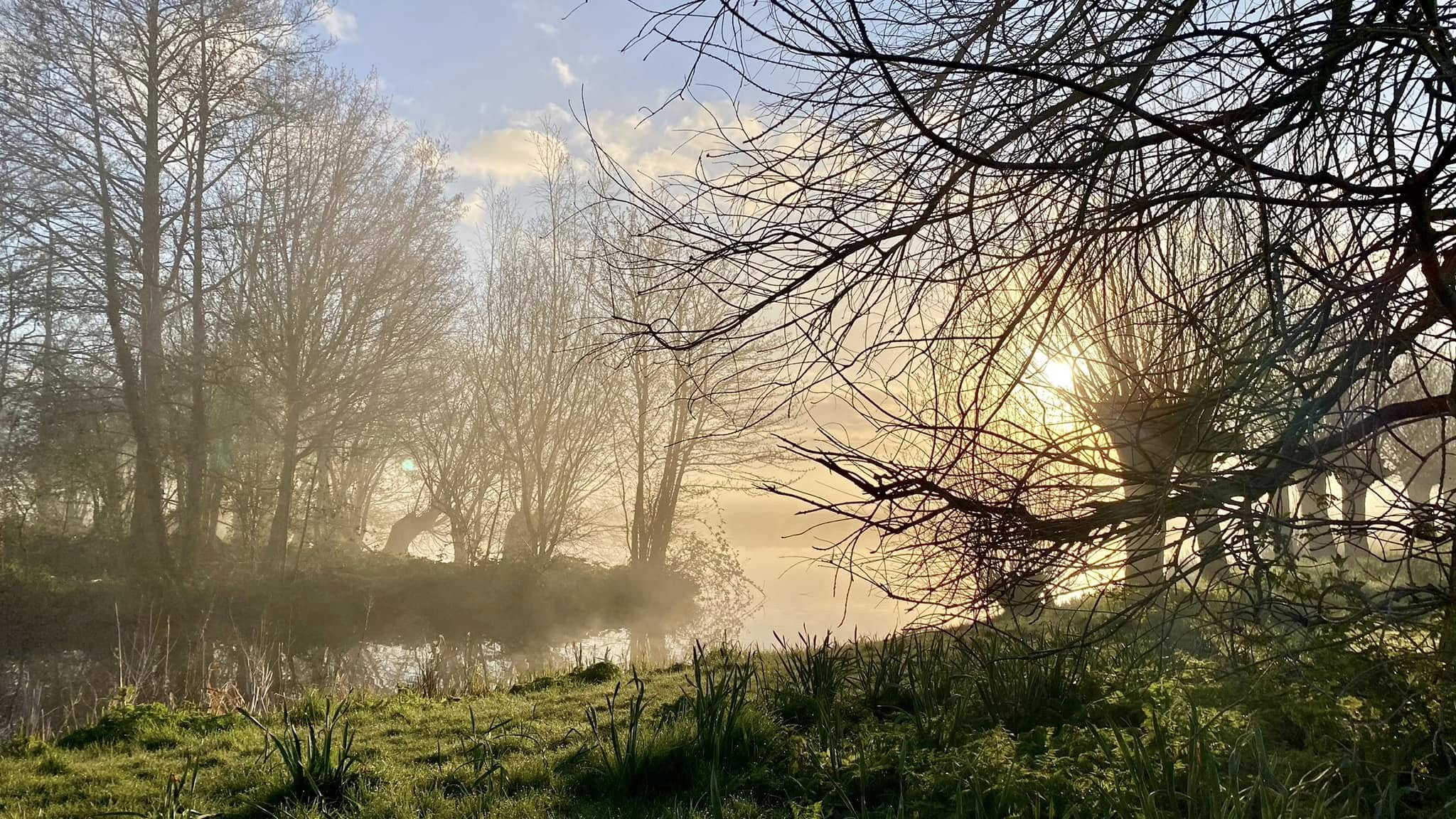 Natuurfoto's - Hans Hooffies